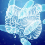 Alerta en Florida: Bacteria en playas cobra la vida de cuatro bañistas